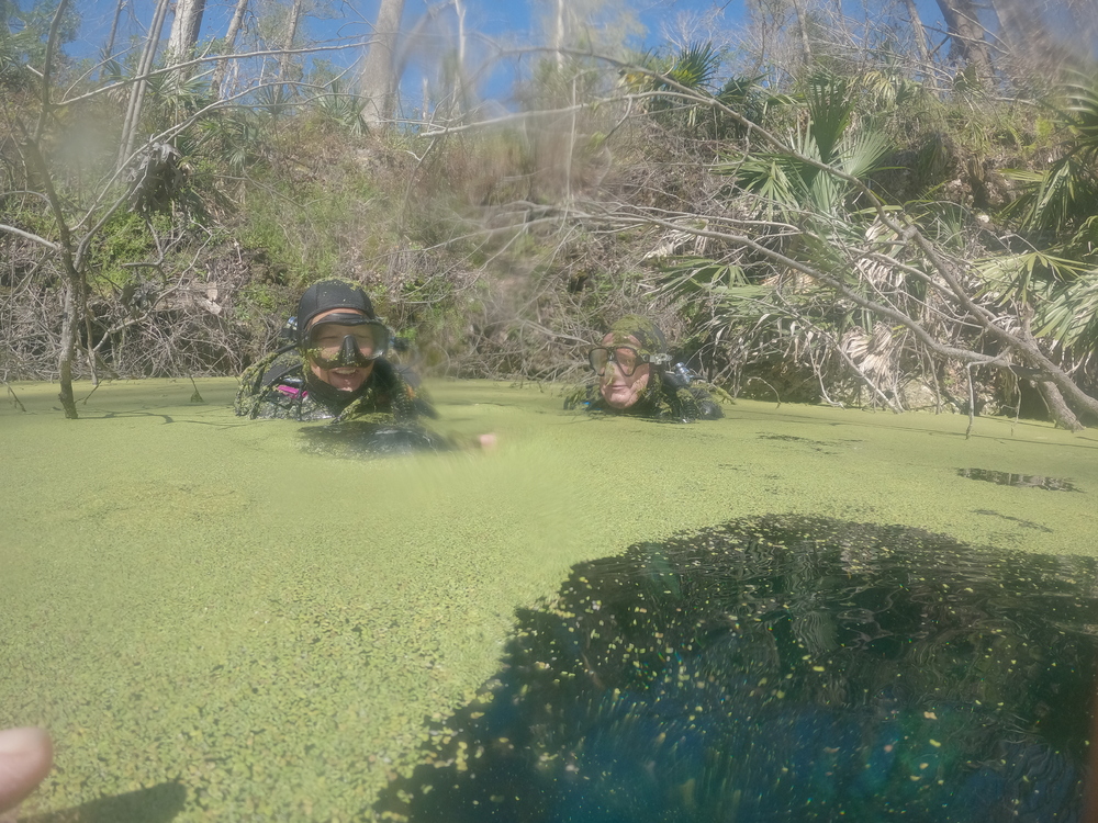 Dayo Scuba Center LLC, Orlando Florida www.dayo.com
