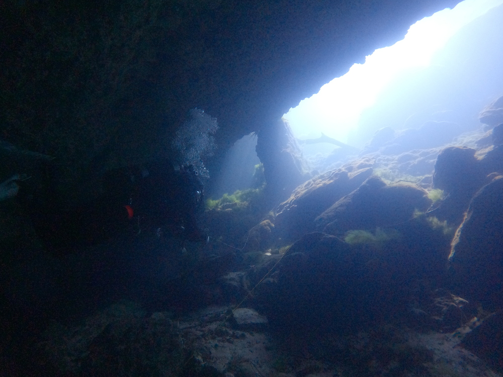 Dayo Scuba Center LLC, Orlando Florida www.dayo.com