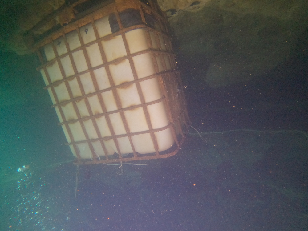 Dayo Scuba Center LLC, Orlando Florida www.dayo.com