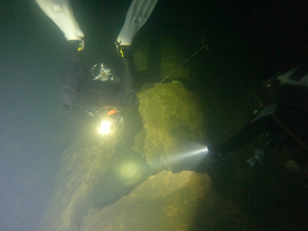 Dayo Scuba Center LLC, Orlando Florida www.dayo.com