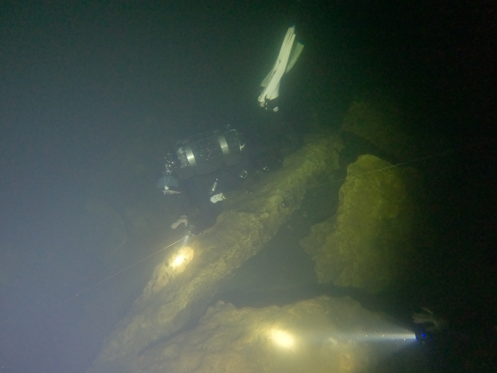 Dayo Scuba Center LLC, Orlando Florida www.dayo.com