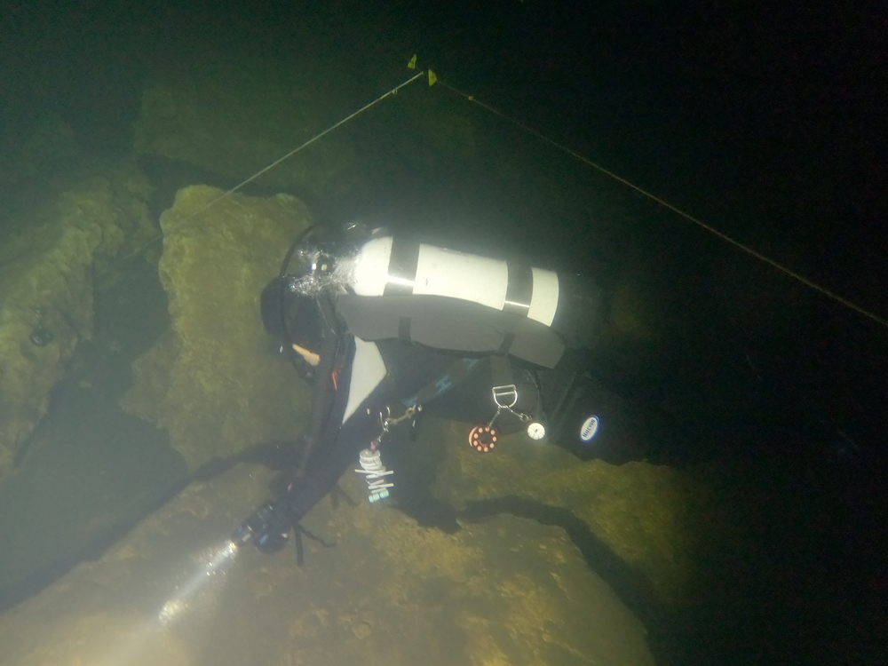 Dayo Scuba Center LLC, Orlando Florida www.dayo.com