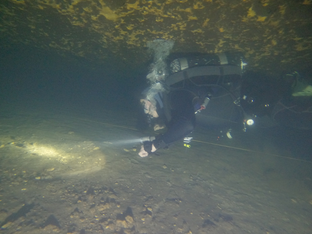 Dayo Scuba Center LLC, Orlando Florida www.dayo.com