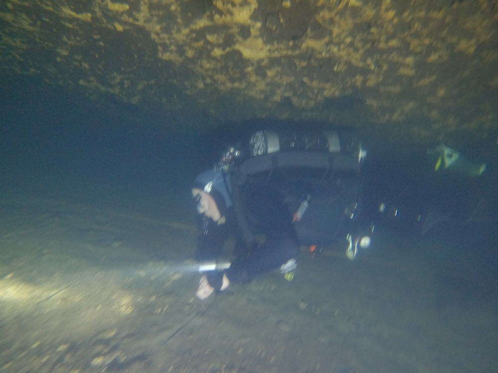 Dayo Scuba Center LLC, Orlando Florida www.dayo.com