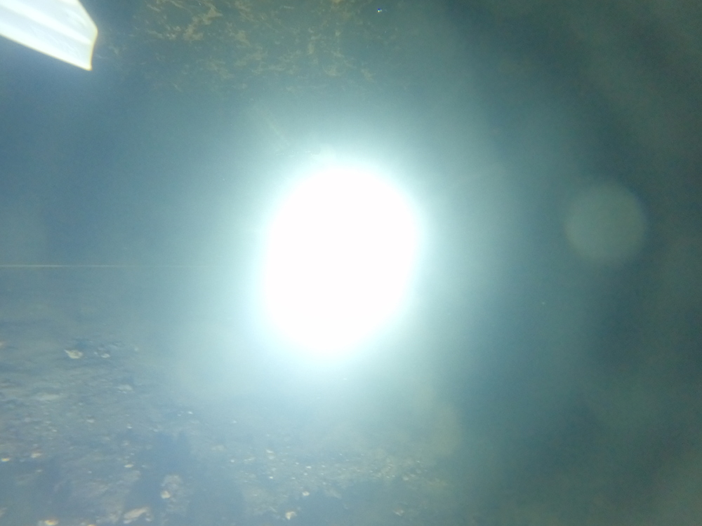 Dayo Scuba Center LLC, Orlando Florida www.dayo.com