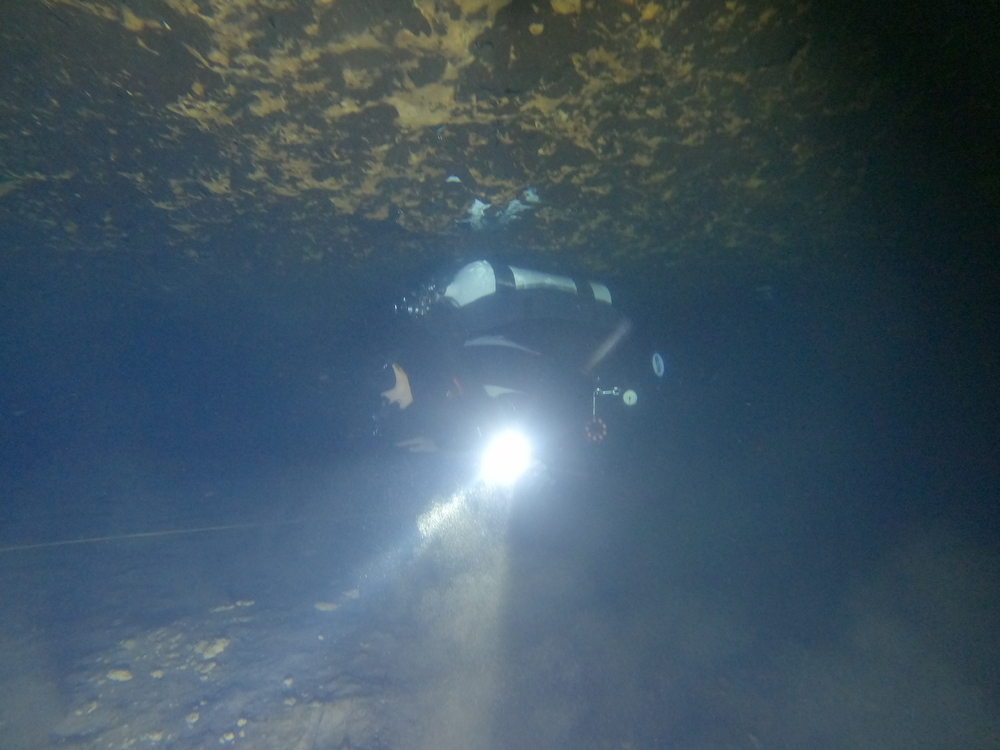 Dayo Scuba Center LLC, Orlando Florida www.dayo.com