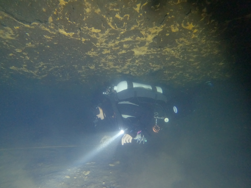 Dayo Scuba Center LLC, Orlando Florida www.dayo.com