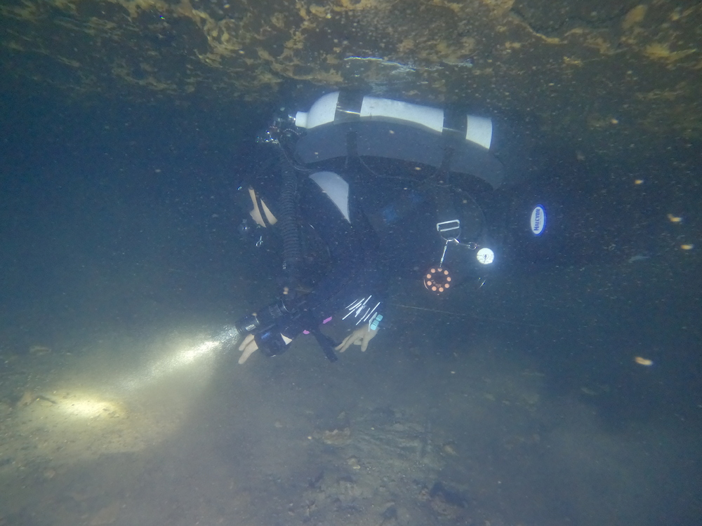 Dayo Scuba Center LLC, Orlando Florida www.dayo.com
