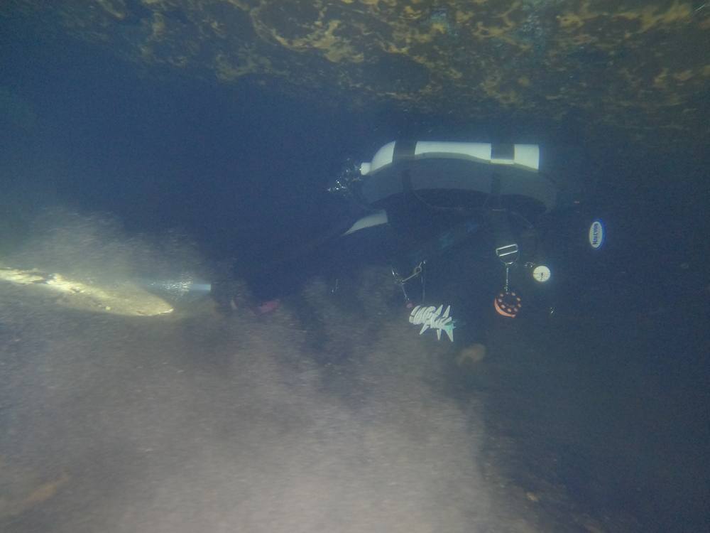 Dayo Scuba Center LLC, Orlando Florida www.dayo.com