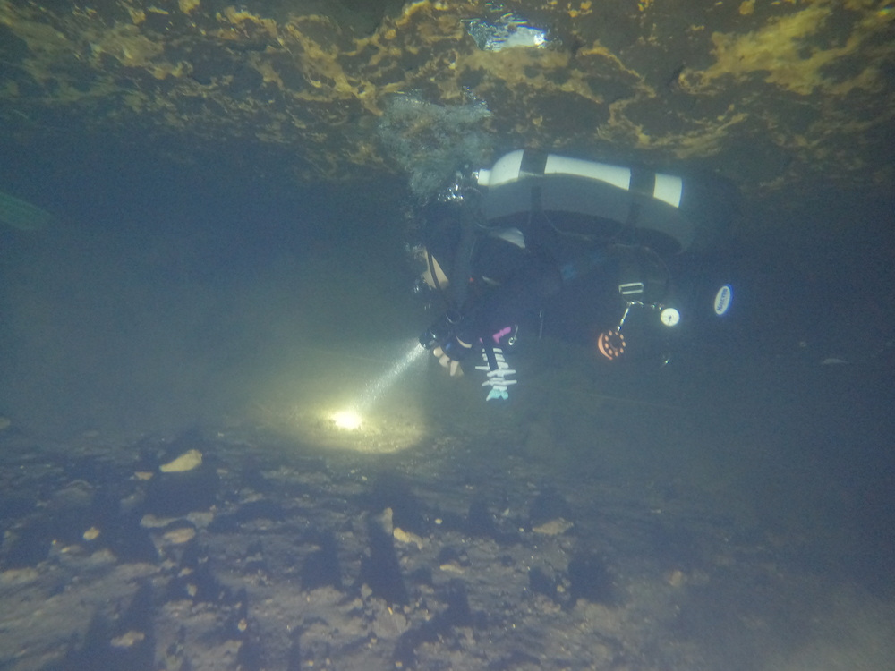 Dayo Scuba Center LLC, Orlando Florida www.dayo.com