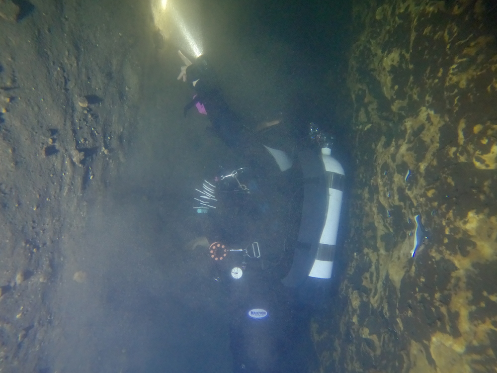 Dayo Scuba Center LLC, Orlando Florida www.dayo.com