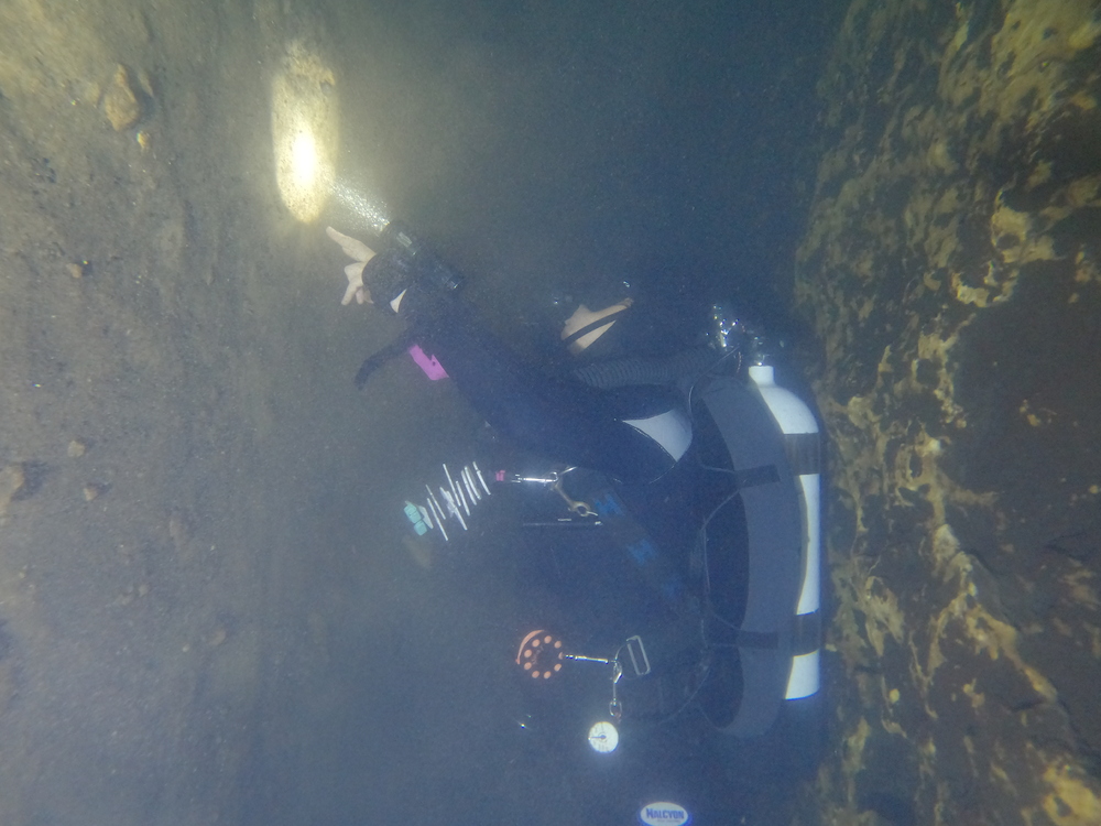 Dayo Scuba Center LLC, Orlando Florida www.dayo.com