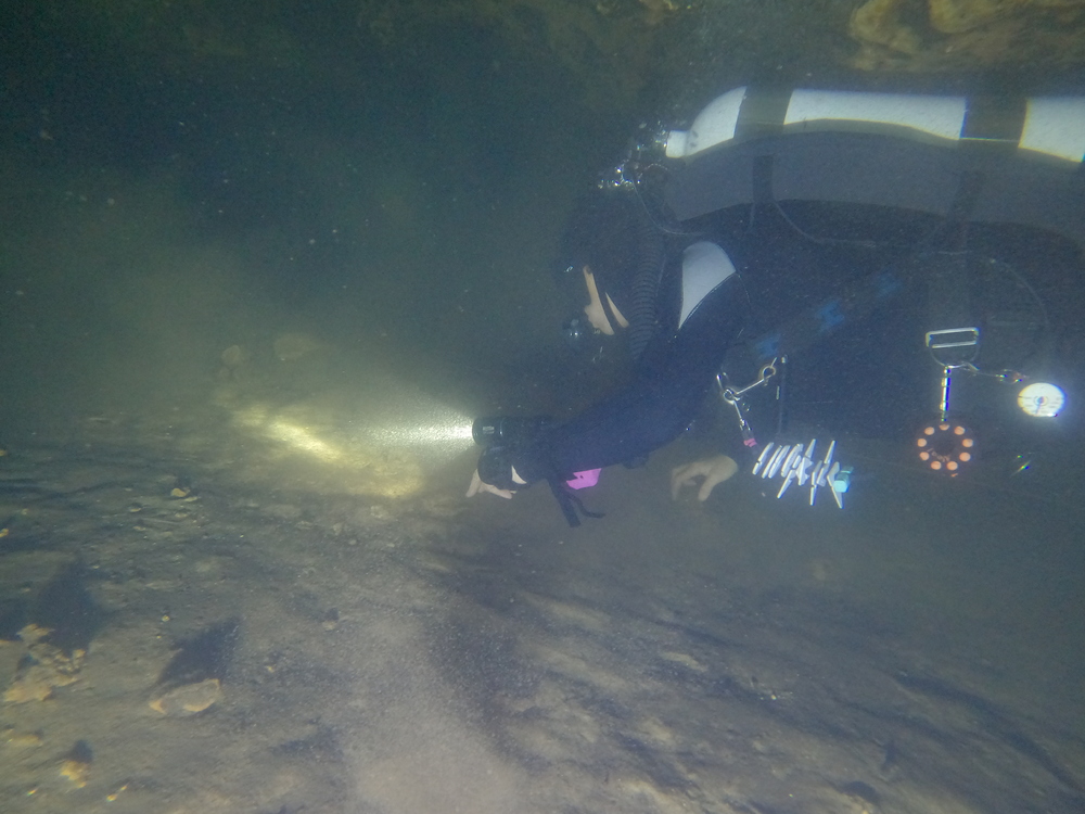 Dayo Scuba Center LLC, Orlando Florida www.dayo.com