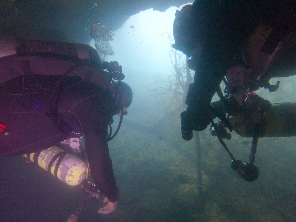Dayo Scuba Center LLC, Orlando Florida www.dayo.com