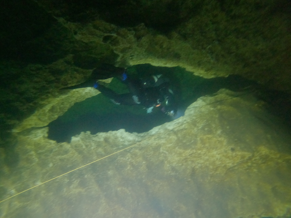 Dayo Scuba Center LLC, Orlando Florida www.dayo.com