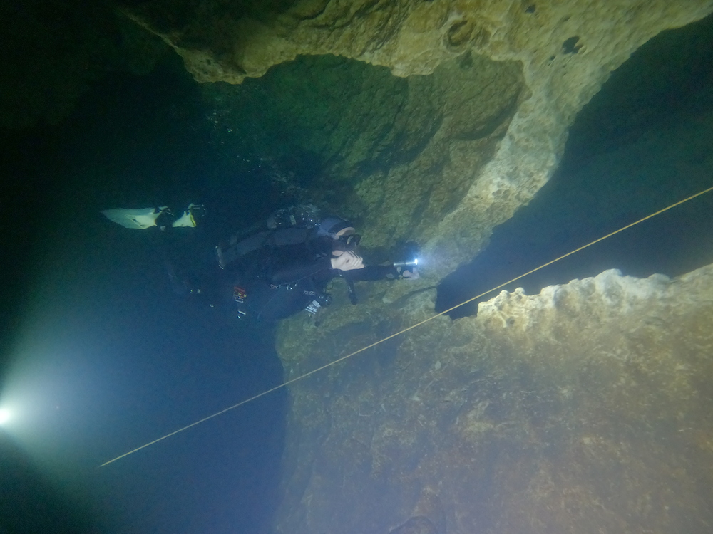 Dayo Scuba Center LLC, Orlando Florida www.dayo.com