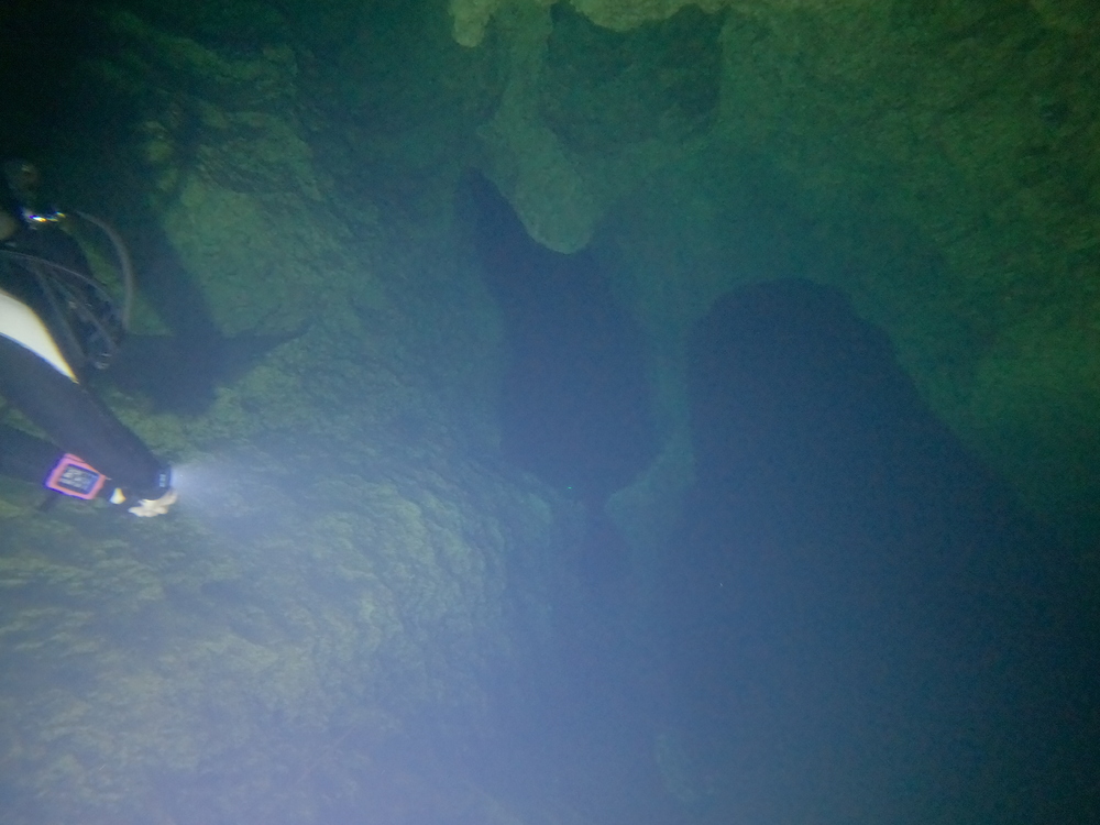 Dayo Scuba Center LLC, Orlando Florida www.dayo.com
