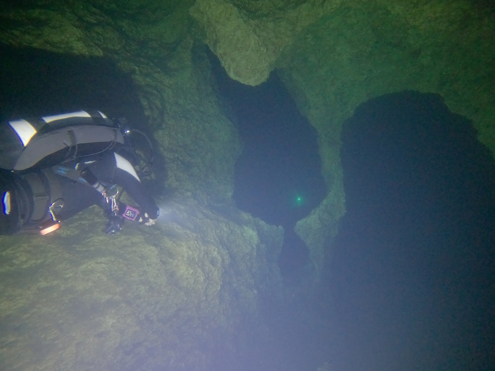 Dayo Scuba Center LLC, Orlando Florida www.dayo.com