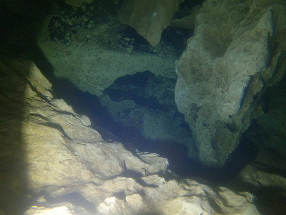 Dayo Scuba Center LLC, Orlando Florida www.dayo.com
