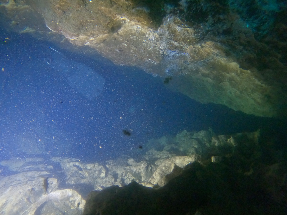 Dayo Scuba Center LLC, Orlando Florida www.dayo.com