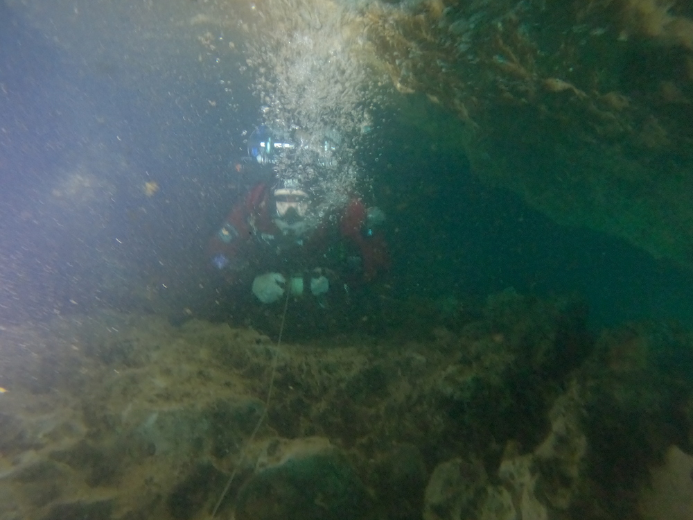 Dayo Scuba Center LLC, Orlando Florida www.dayo.com