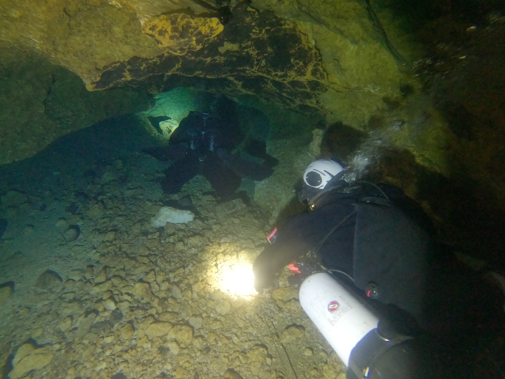 Dayo Scuba Center LLC, Orlando Florida www.dayo.com