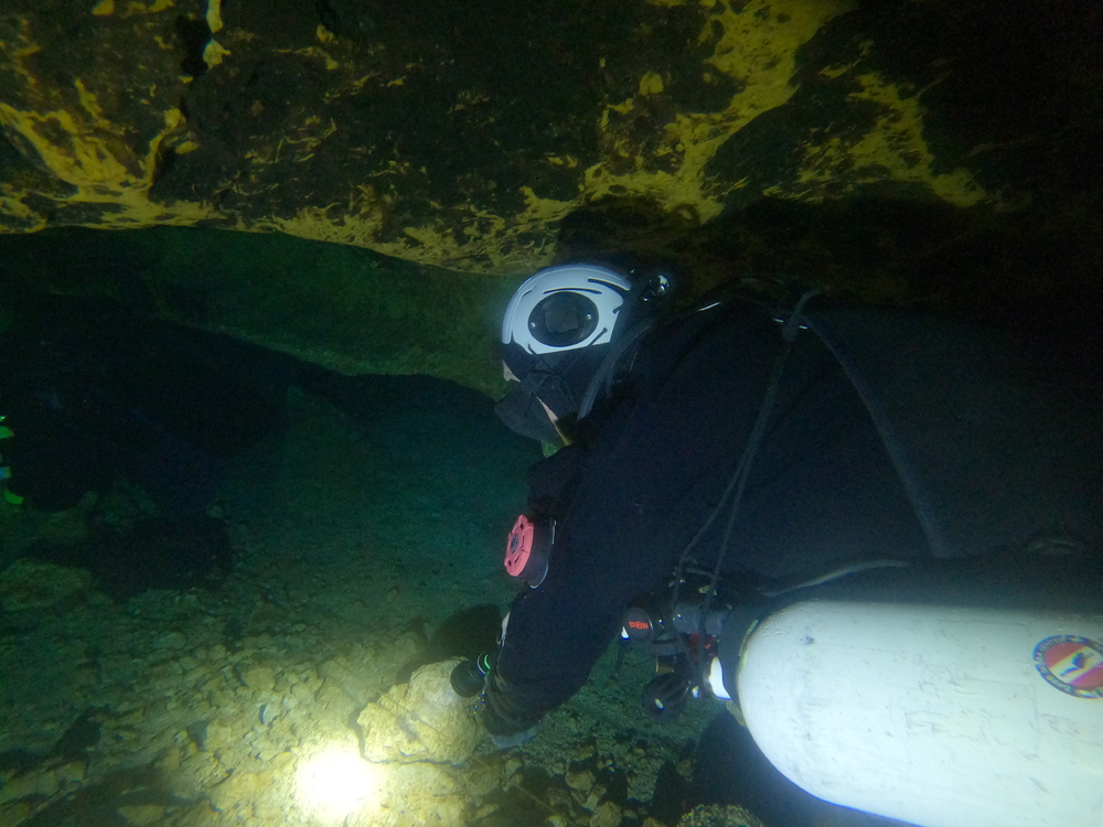 Dayo Scuba Center LLC, Orlando Florida www.dayo.com