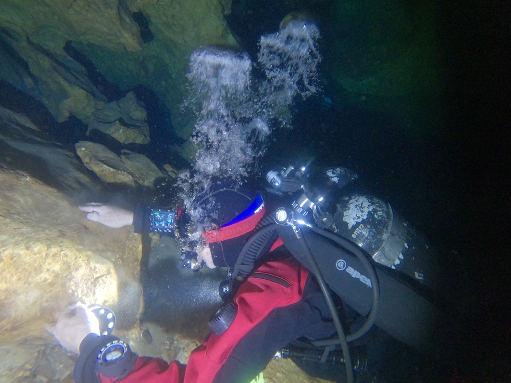 Dayo Scuba Center LLC, Orlando Florida www.dayo.com