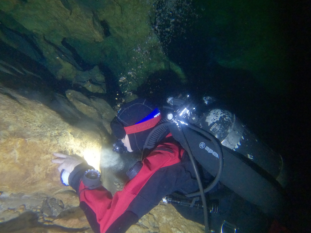 Dayo Scuba Center LLC, Orlando Florida www.dayo.com