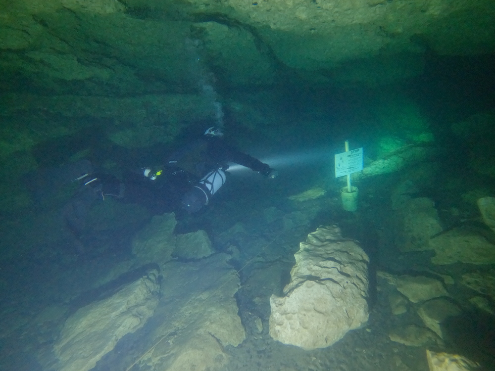 Dayo Scuba Center LLC, Orlando Florida www.dayo.com