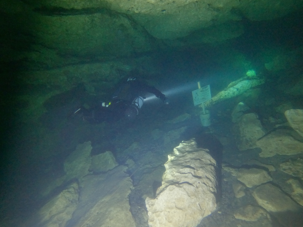 Dayo Scuba Center LLC, Orlando Florida www.dayo.com