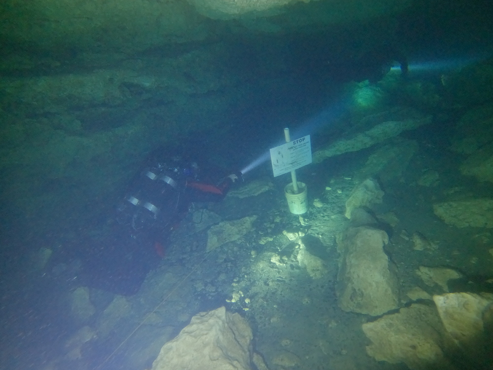 Dayo Scuba Center LLC, Orlando Florida www.dayo.com