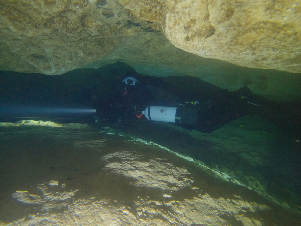 Dayo Scuba Center LLC, Orlando Florida www.dayo.com