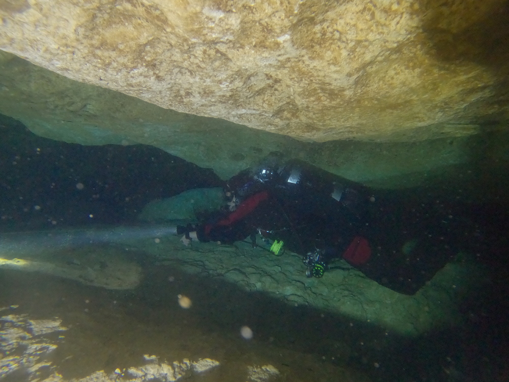 Dayo Scuba Center LLC, Orlando Florida www.dayo.com