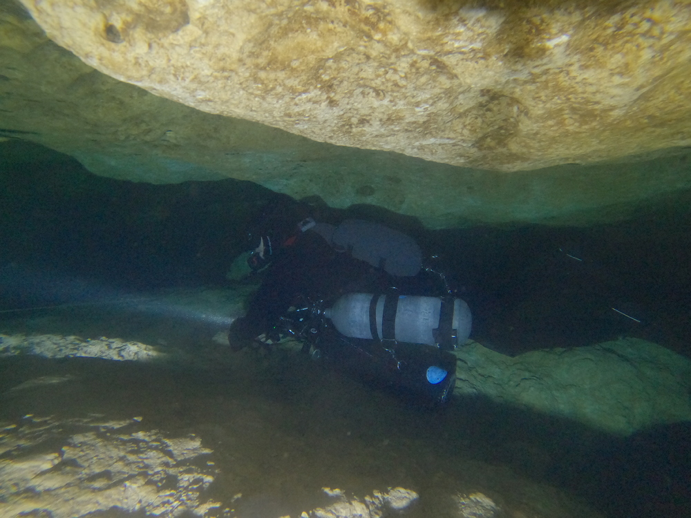 Dayo Scuba Center LLC, Orlando Florida www.dayo.com