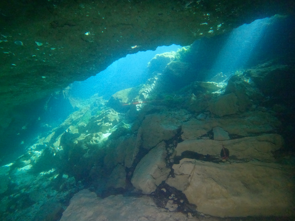 Dayo Scuba Center LLC, Orlando Florida www.dayo.com