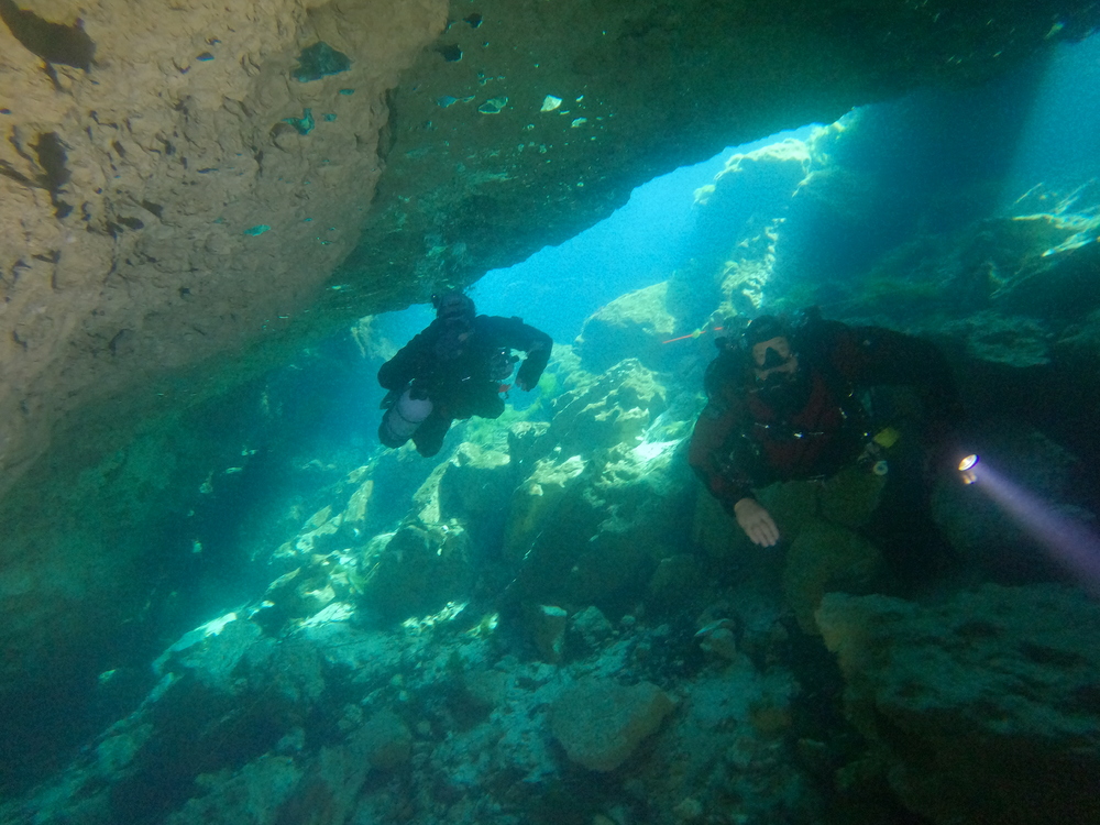 Dayo Scuba Center LLC, Orlando Florida www.dayo.com