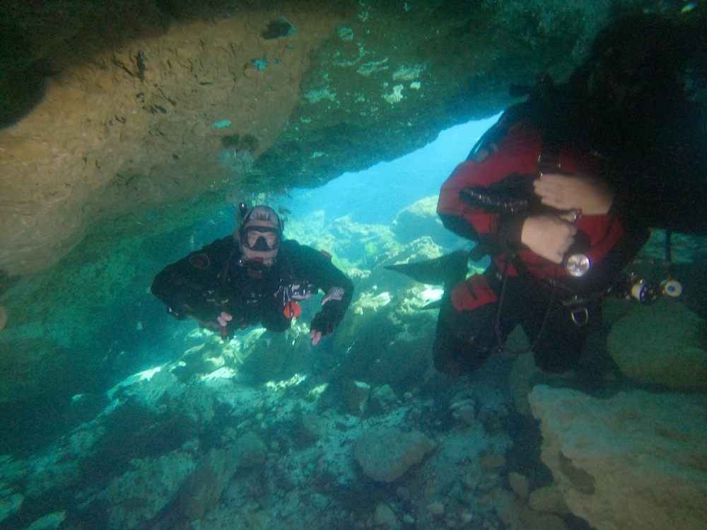 Dayo Scuba Center LLC, Orlando Florida www.dayo.com