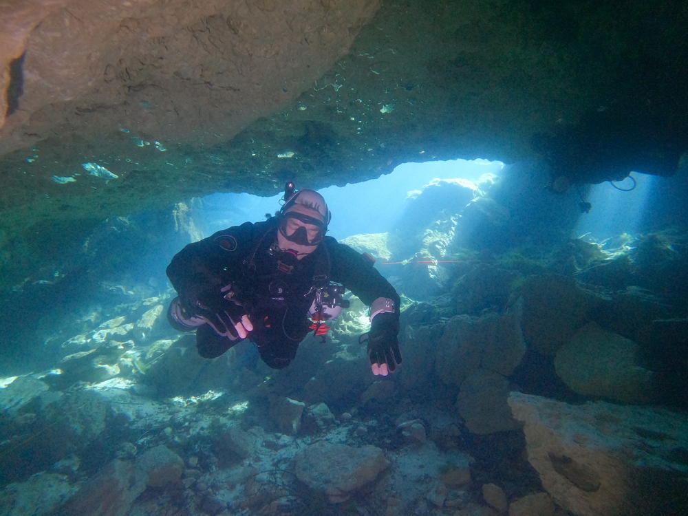 Dayo Scuba Center LLC, Orlando Florida www.dayo.com