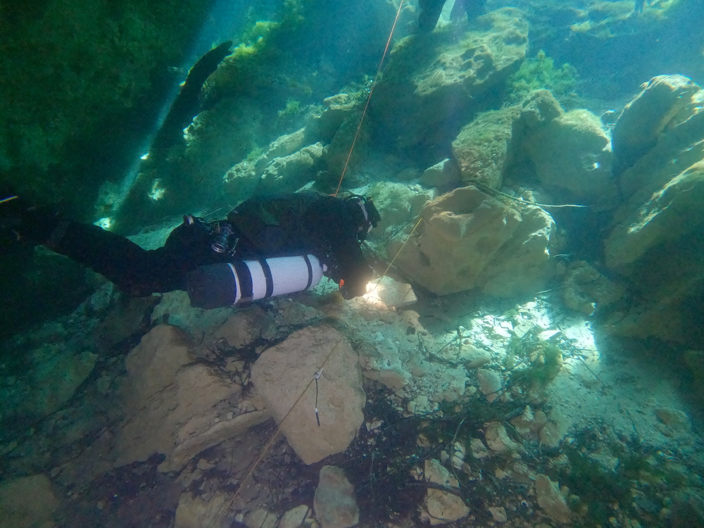 Dayo Scuba Center LLC, Orlando Florida www.dayo.com