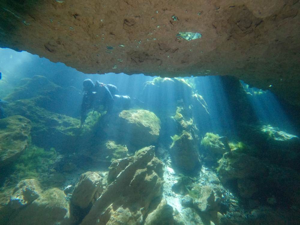 Dayo Scuba Center LLC, Orlando Florida www.dayo.com