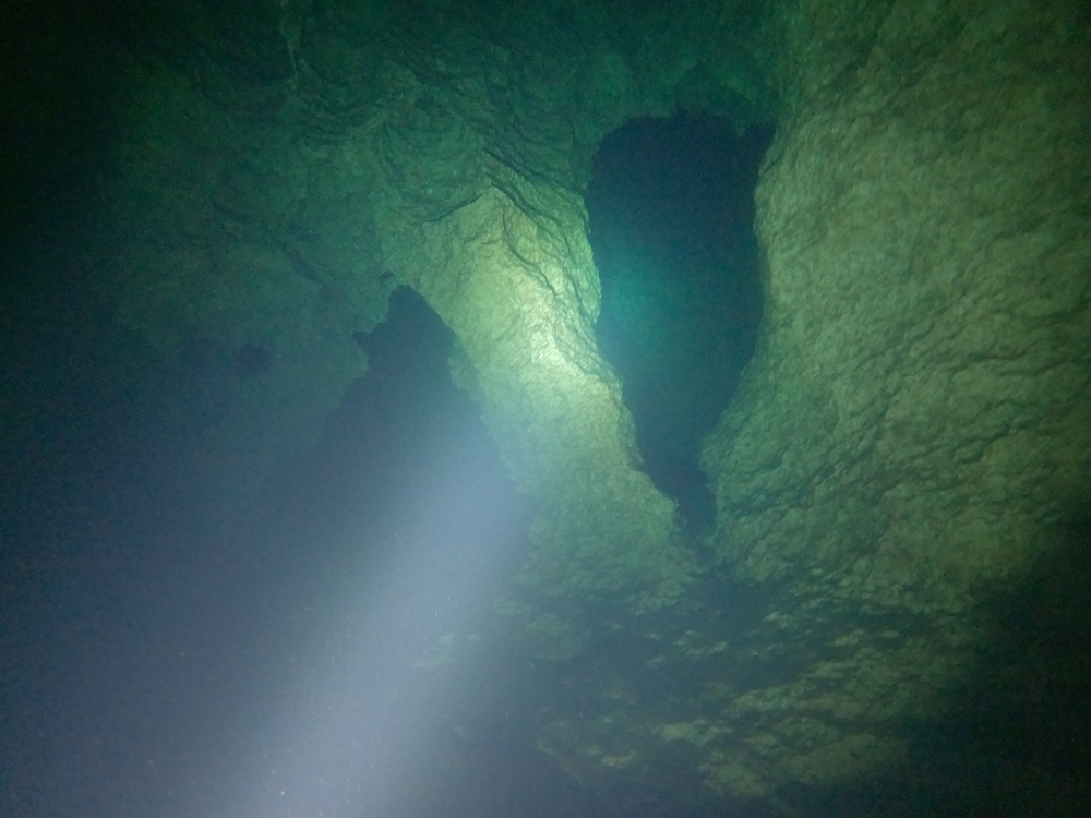 Dayo Scuba Center LLC, Orlando Florida www.dayo.com