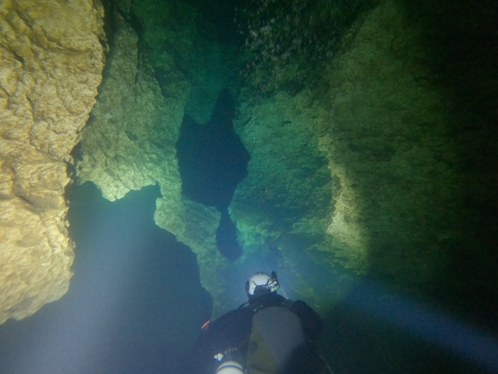 Dayo Scuba Center LLC, Orlando Florida www.dayo.com