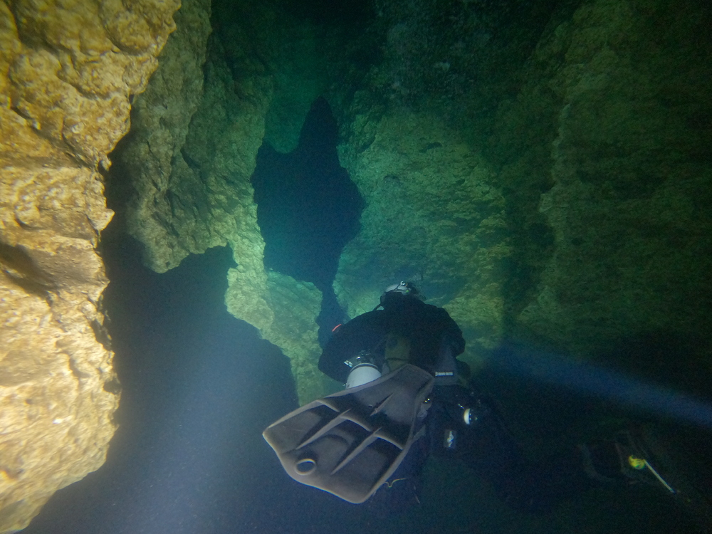Dayo Scuba Center LLC, Orlando Florida www.dayo.com