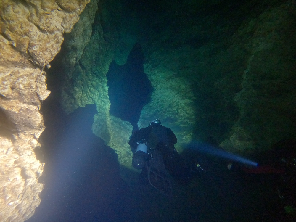 Dayo Scuba Center LLC, Orlando Florida www.dayo.com