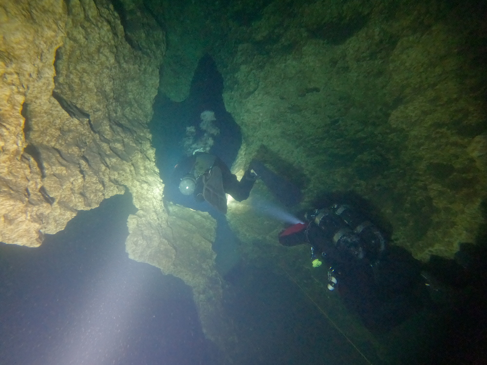 Dayo Scuba Center LLC, Orlando Florida www.dayo.com