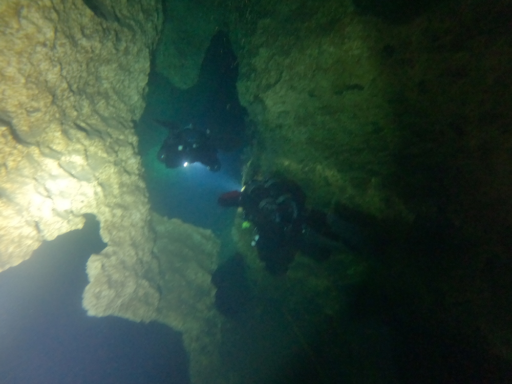 Dayo Scuba Center LLC, Orlando Florida www.dayo.com