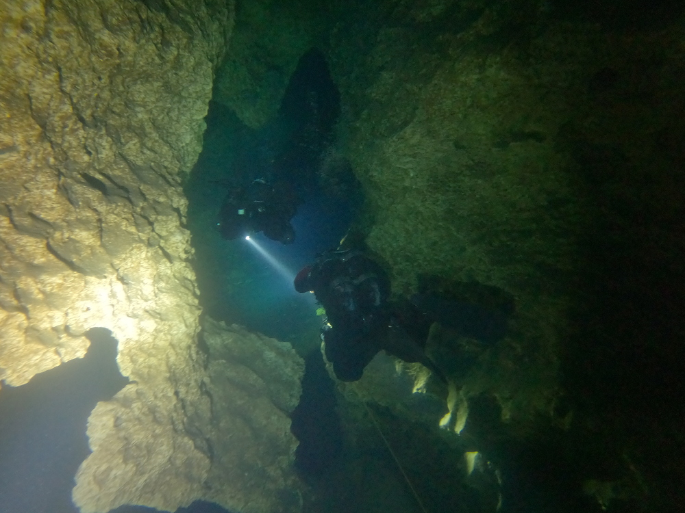 Dayo Scuba Center LLC, Orlando Florida www.dayo.com