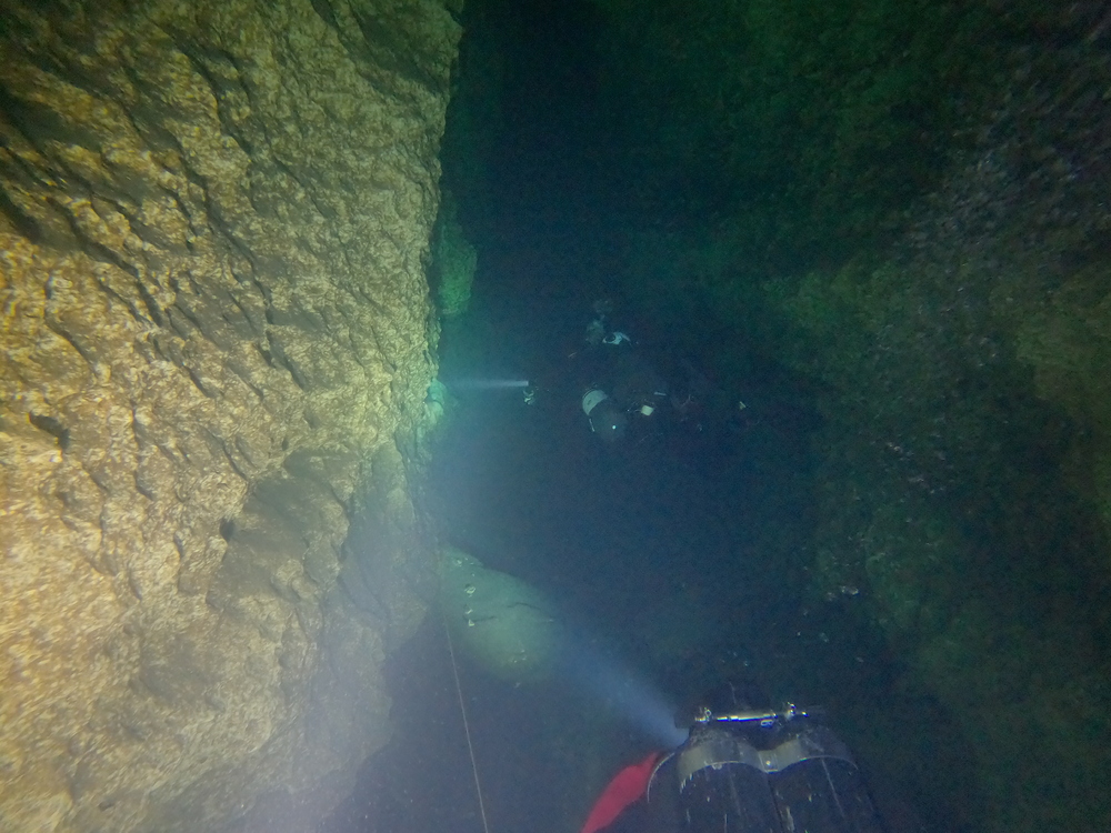 Dayo Scuba Center LLC, Orlando Florida www.dayo.com