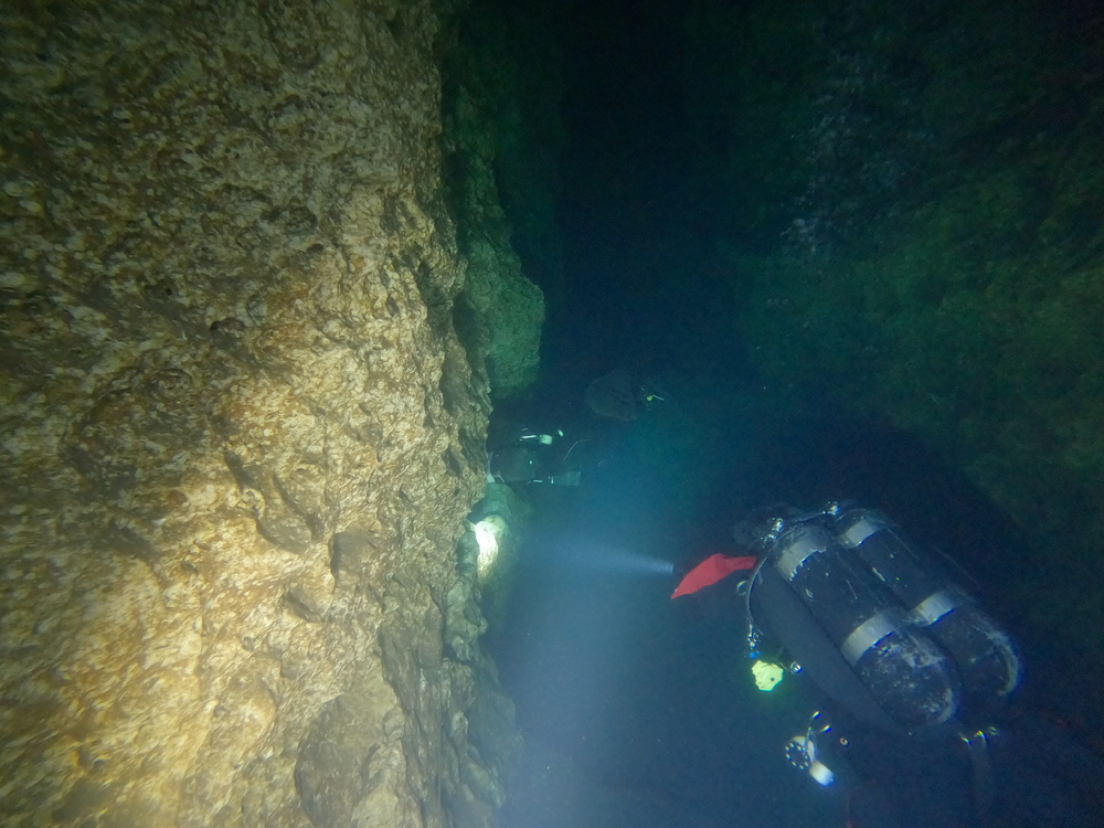 Dayo Scuba Center LLC, Orlando Florida www.dayo.com